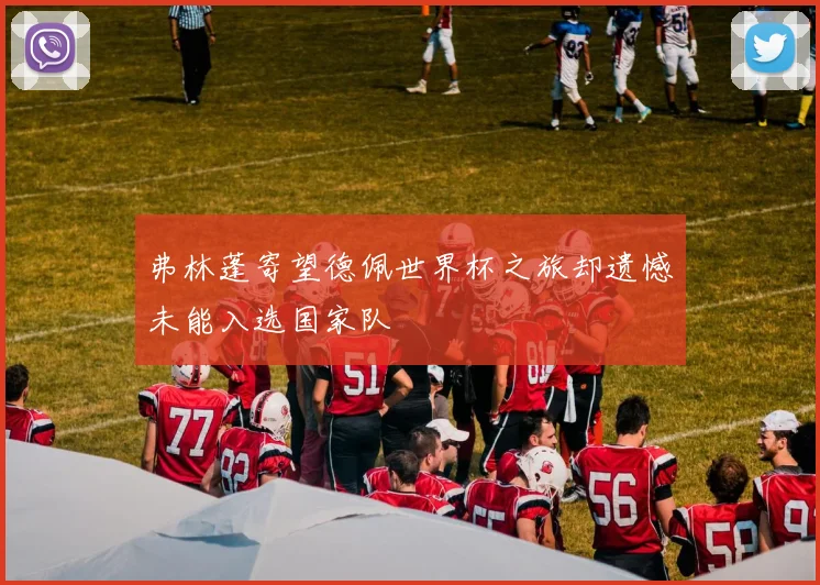 弗林蓬寄望德佩世界杯之旅却遗憾未能入选国家队